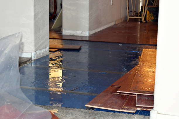 Professional Water Damage Restoration technician working in New Gloucester, ME